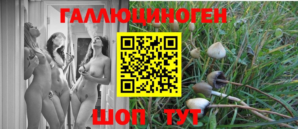 Псилоцибиновые грибы Magic Shrooms  Галлюциногенные грибы мицелий  Туапсе  Вход с VPN 