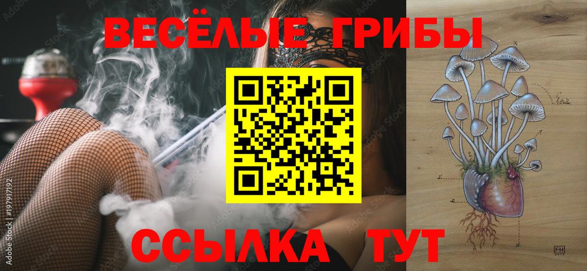 Псилоцибиновые грибы мухоморы Туапсе